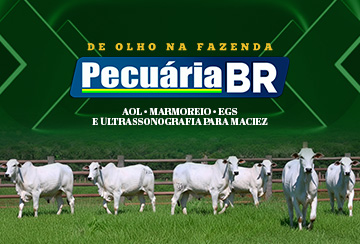 LEILÃO VIRTUAL PECUÁRIA BR